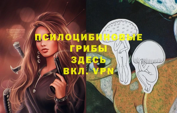 Альфа ПВП Анива