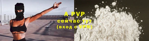 прущие крисы Мегион
