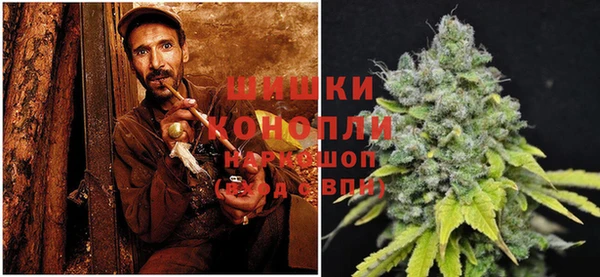 прущие крисы Мегион