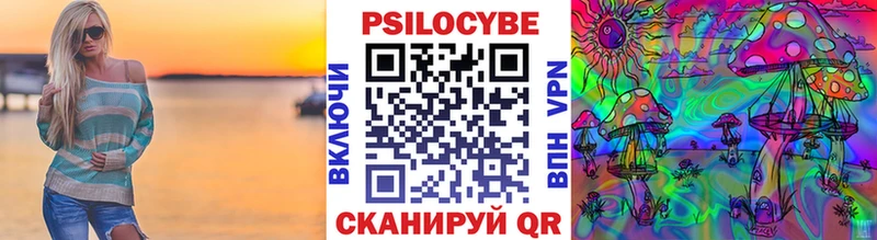 как найти   Енисейск  Псилоцибиновые грибы Psilocybine cubensis 